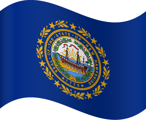 New Hampshire flag