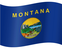 montana flag